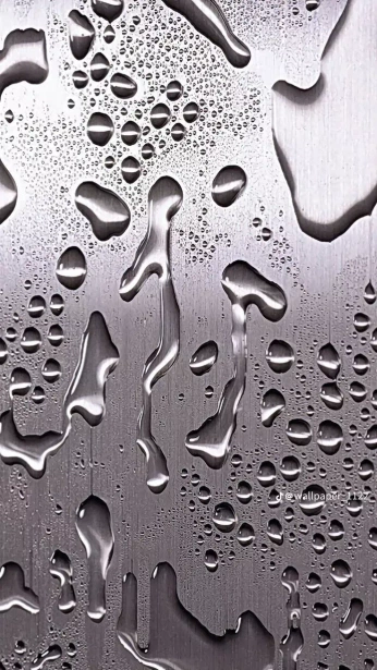 A cover of "Reference photos" cluster. The owner is laurenzellers. The cluster consists of 12 elements.