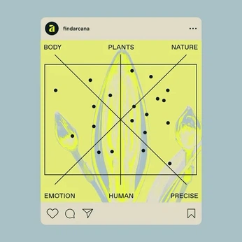 A cover of "Design" cluster. The owner is mattermore. The cluster consists of 1 element.