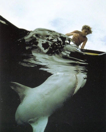 A cover of "surf n sturf" cluster. The owner is nonpremium. The cluster description is "water". The cluster consists of 12 elements.