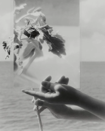 A cover of "Photography" cluster. The owner is benbloom. The cluster consists of 61 elements.