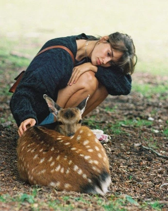 A cover of "photography" cluster. The owner is viltee. The cluster consists of 18 elements.