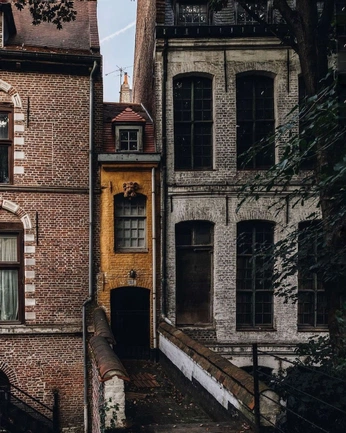 A cover of "belgium" cluster. The owner is destinydesaeger. The cluster consists of 33 elements.