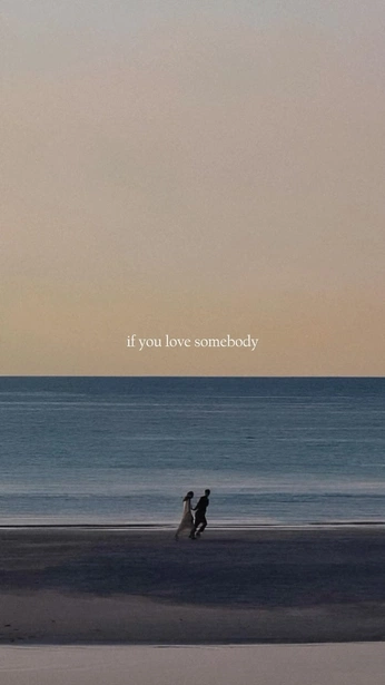 A cover of "animation inspo" cluster. The owner is avonaserks. The cluster consists of 13 elements.