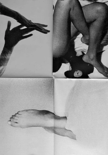 A cover of "Collage" cluster. The owner is jmc. The cluster consists of 4 elements.