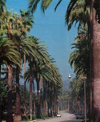 A cover of "GRAINY" cluster. The owner is wesobliv. The cluster consists of 2 elements.