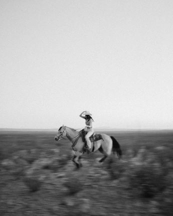 A cover of "Western" cluster. The owner is davidalba. The cluster consists of 61 elements.