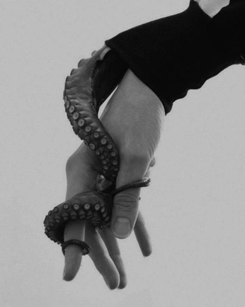 A cover of "Blackfish" cluster. The owner is tasmanbanks. The cluster consists of 16 elements.