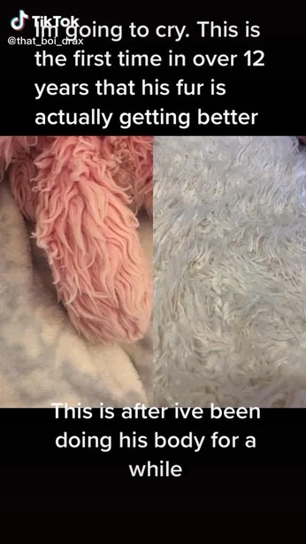 A cover of "follow up later" cluster. The owner is oknight. The cluster consists of 3 elements.