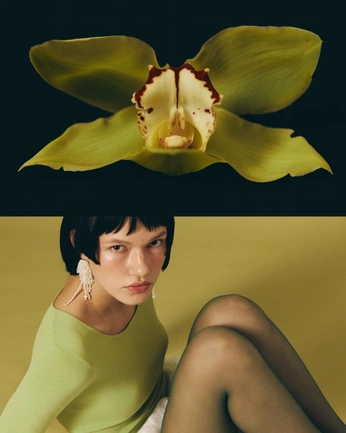 A cover of "Evil Flower" cluster. The owner is britt13232. The cluster consists of 4 elements.