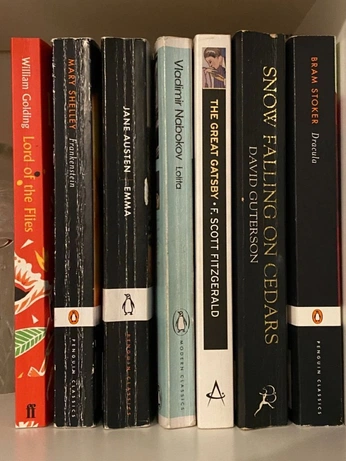 A cover of "livros" cluster. The owner is amorjpg. The cluster consists of 81 elements.