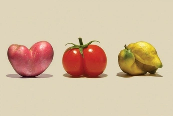 A cover of "UGLY FRUITS/VEGETABLES" cluster. The owner is lucasveronese. The cluster consists of 11 elements.