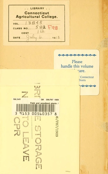 A cover of "Ephemera" cluster. The owner is blizina. The cluster consists of 3 elements.