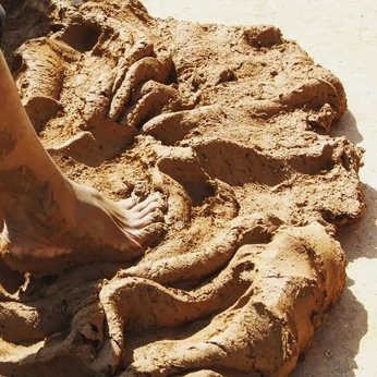 A cover of "ineffable ecstasy" cluster. The owner is sar303. The cluster consists of 5 elements.