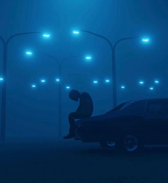 A cover of "FLY MUSIC VIDEO" cluster. The owner is wawii. The cluster consists of 16 elements.