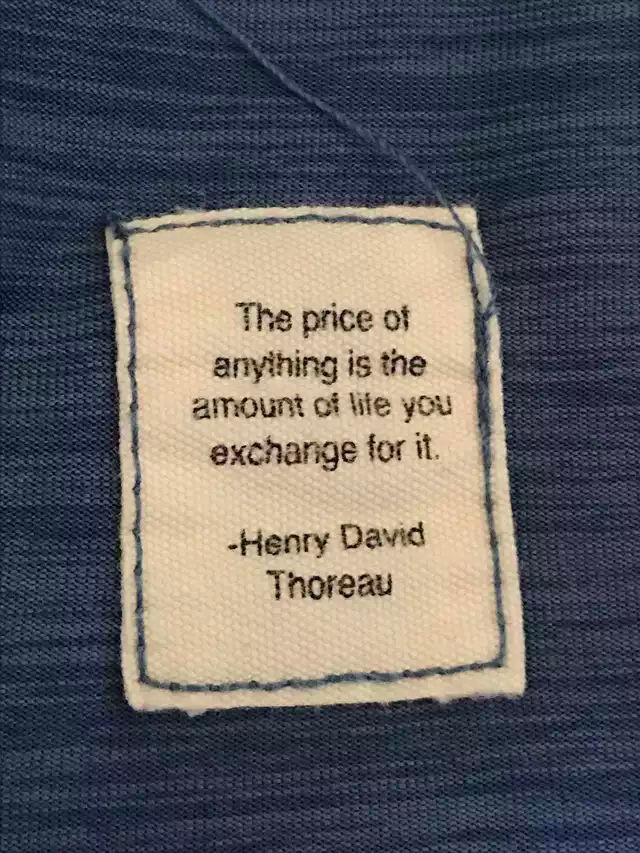 An image added by botany01 on Dec 01, 2023. May present: sleeve, font, electric blue, label.