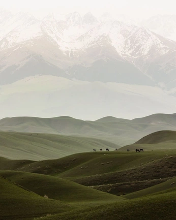 A cover of "Nature Insp" cluster. The owner is nurbek. The cluster consists of 5 elements.