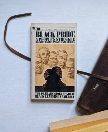 A cover of "Black pride" cluster. The owner is nicolecardoza. The cluster consists of 3 elements.