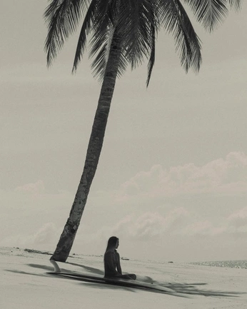 A cover of "Summer" cluster. The owner is ederradesign. The cluster consists of 5 elements.