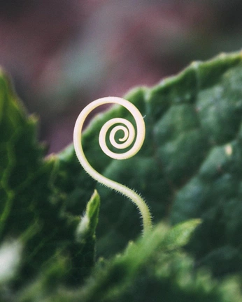 A cover of "RTF MOOD" cluster. The owner is jeanneheo. The cluster consists of 33 elements.