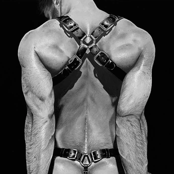 A cover of "Leather" cluster. The owner is bottom. The cluster consists of 116 elements.