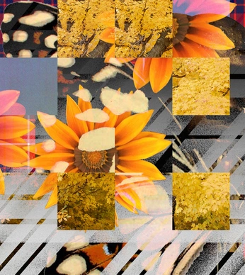 A cover of "Autumn" cluster. The owner is kayla.long. The cluster consists of 31 elements.