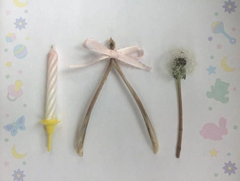 A cover of "coraline" cluster. The owner is ammacrellin. The cluster consists of 7 elements.