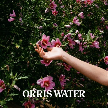 A cover of "Orris water" cluster. The owner is orriswater. The cluster consists of 11 elements.