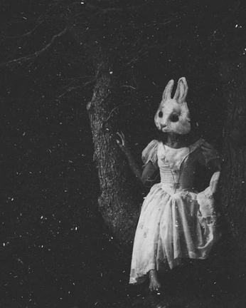 A cover of "Concepts" cluster. The owner is regino. The cluster consists of 3 elements.