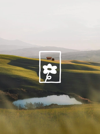 A cover of "Design" cluster. The owner is stephie.rr. The cluster consists of 23 elements.