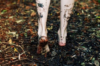 A cover of "agnieszka" cluster. The owner is curassavica. The cluster description is "uprooted". The cluster consists of 168 elements.