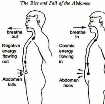 A cover of "Medicine" cluster. The owner is clarawisner. The cluster consists of 8 elements.