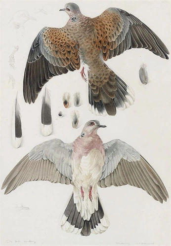 A cover of "DY" cluster. The owner is camilacruz. The cluster consists of 176 elements.