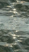 Cover of water cluster
