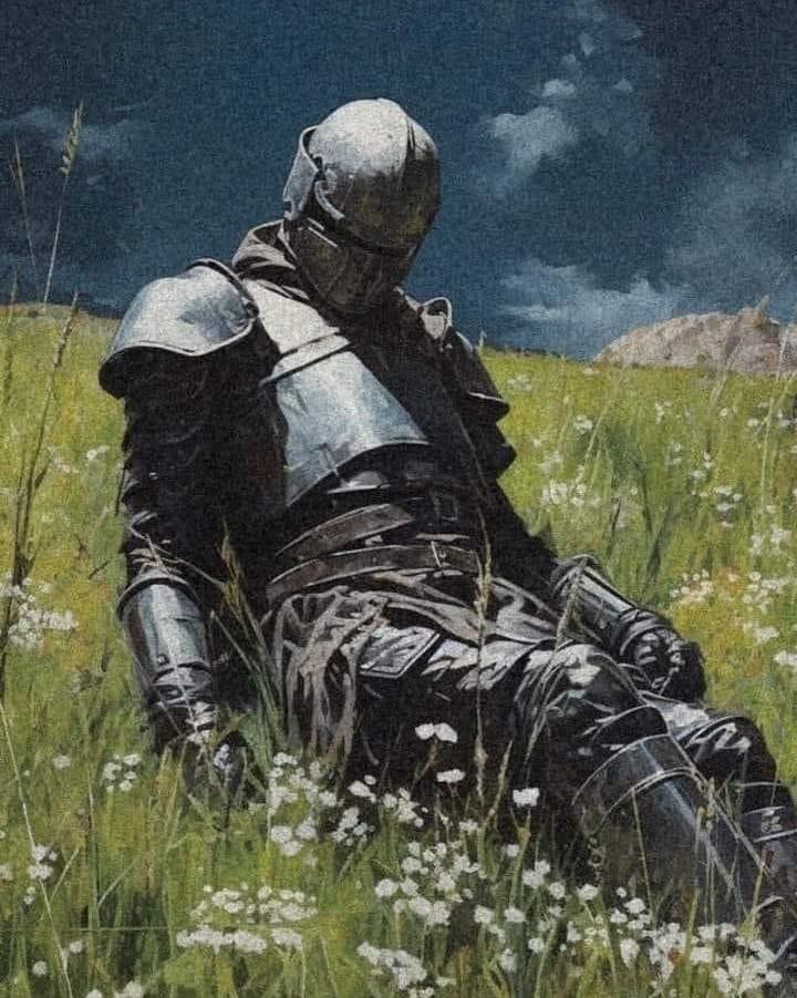 An Instagram  post added by rust1n on Jan 06, 2024. The author is @hardimages.v2. May present: grass, flower, cloud, sky, helmet.