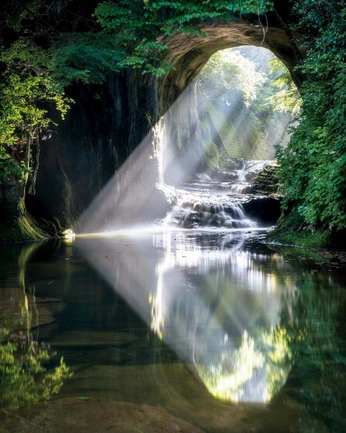 A cover of "2025 Dreaming" cluster. The owner is sarastibitz. The cluster consists of 86 elements.