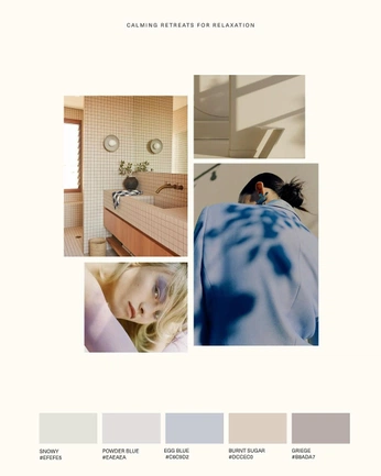 A cover of "Zen Color Palette" cluster. The owner is elenaoddey. The cluster consists of 4 elements.