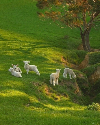 A cover of "photos to edit" cluster. The owner is geosphotos. The cluster consists of 9 elements.