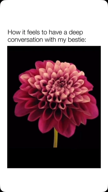 A cover of "Flowers" cluster. The owner is rashminarendra. The cluster consists of 1 element.