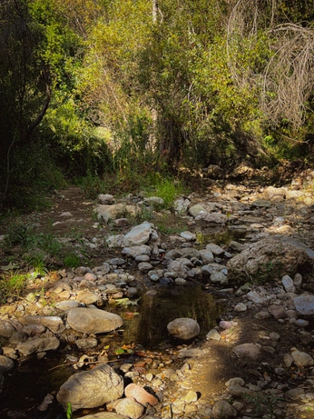 A cover of "Jh" cluster. The owner is daisytamsoy. The cluster consists of 5 elements.