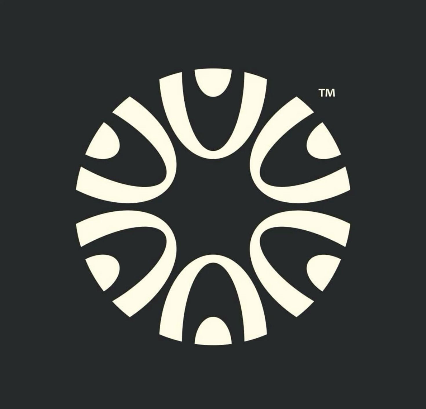 A Pinterest pin added by aschlstrt on Dec 01, 2024. The author is eric lion. May present: circle, the kind foundation.