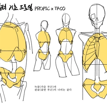 A cover of "propic x taco torso" cluster. The owner is krumii. The cluster consists of 70 elements.