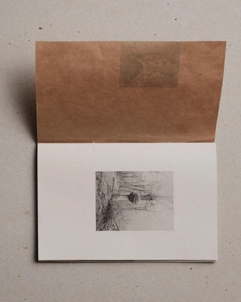 A cover of "una" cluster. The owner is naunalinea. The cluster consists of 7 elements.