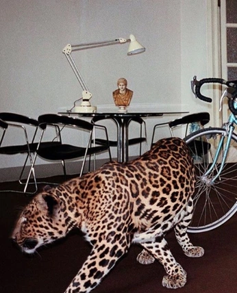 A cover of "Inside" cluster. The owner is katham21. The cluster consists of 1 element.