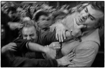 A cover of "Photo" cluster. The owner is dmaaa. The cluster consists of 2 elements.