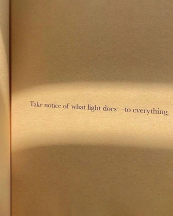 A cover of "Quotes" cluster. The owner is caya.nytra. The cluster consists of 84 elements.