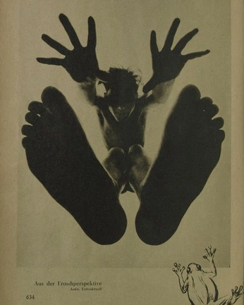 A cover of "Z" cluster. The owner is horsewoman24. The cluster consists of 1 element.