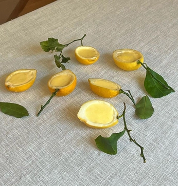 A cover of "𝑠𝑎𝑣𝑜𝑟．" cluster. The owner is theseeress. The cluster consists of 25 elements.