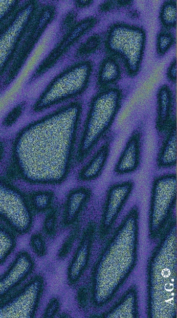 A cover of "Folklore" cluster. The owner is drewettdesign. The cluster consists of 2 elements.