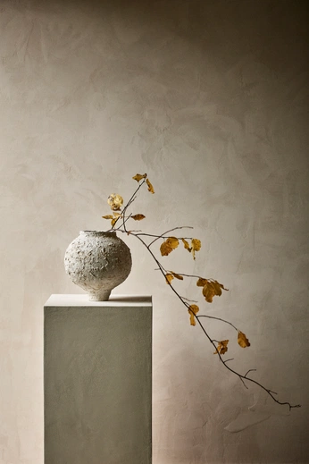 A cover of "Hana" cluster. The owner is limoniene. The cluster consists of 10 elements.