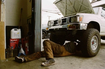 A cover of "Treadwell tires shoot" cluster. The owner is domking28. The cluster consists of 7 elements.